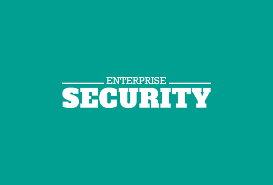 Enterprise Security Logo - Teal