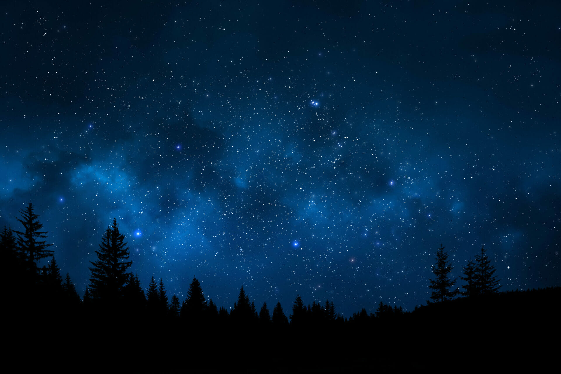 Night sky with trees