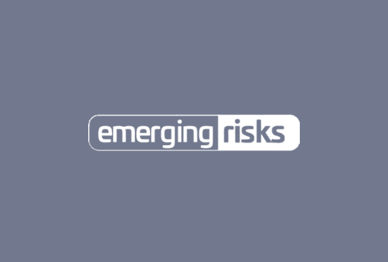 Emerging Risks Logo - Raven